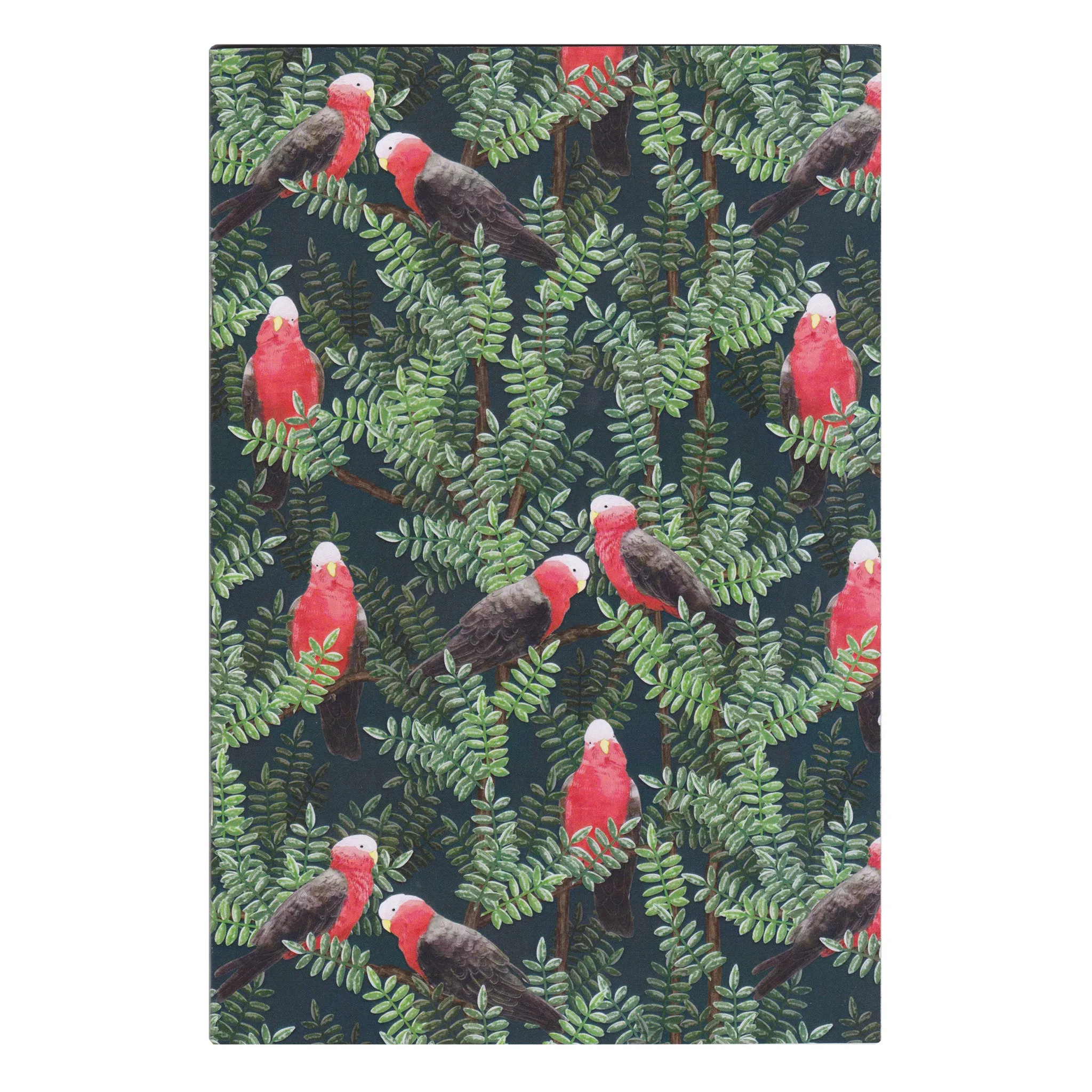 Galah Red - A5 Notebook